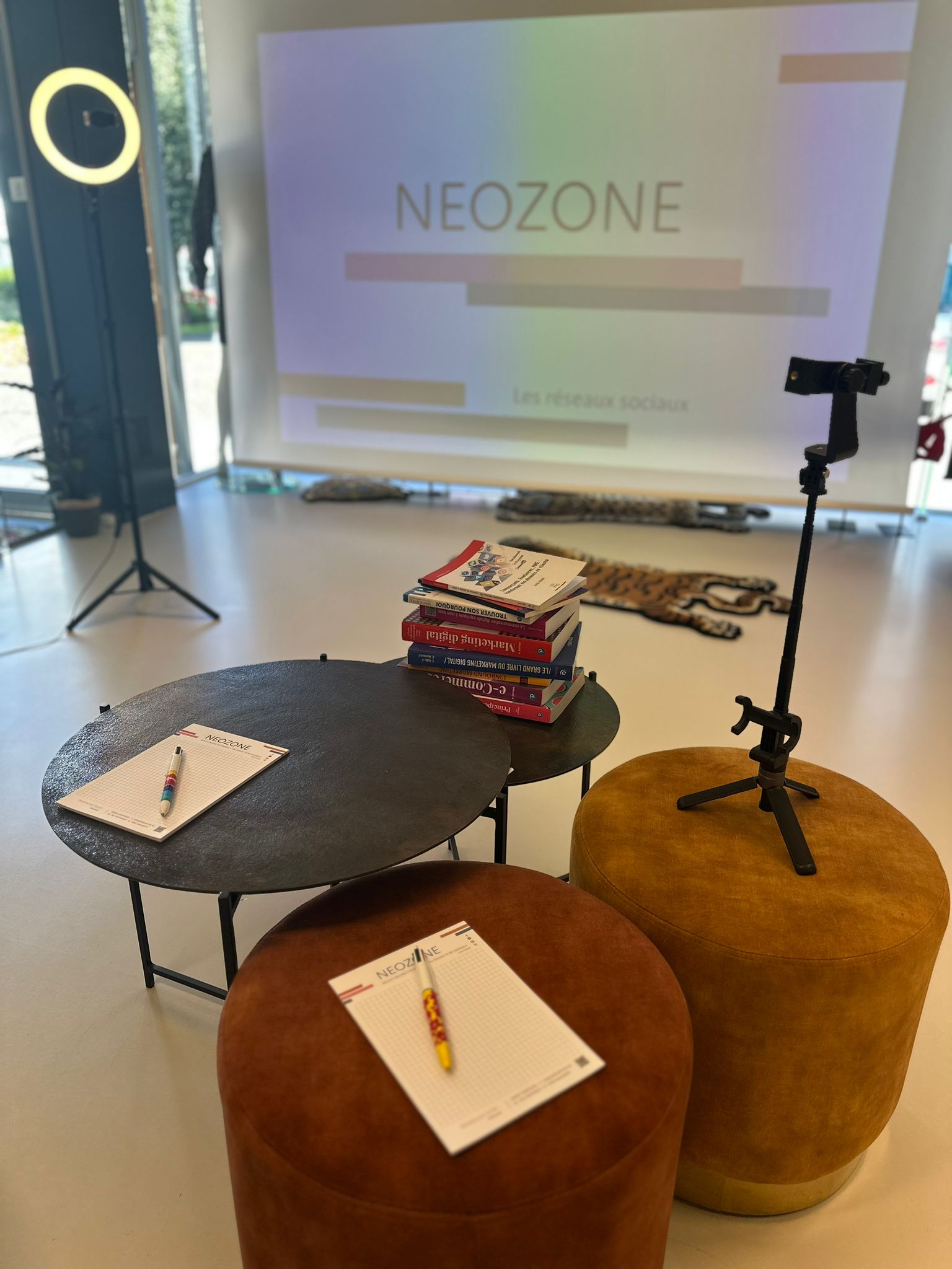 Contact - Neozone Concept - photo 11